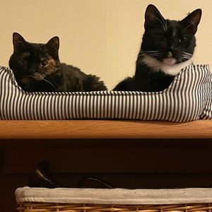 Meet your Posher, Charles